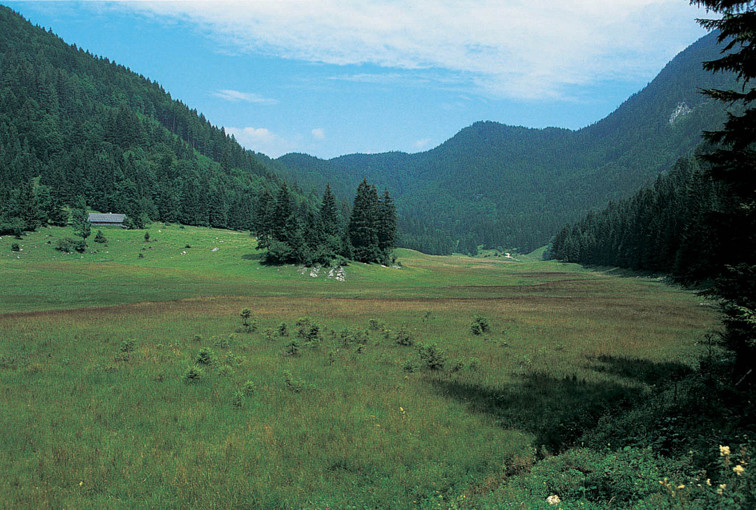 Die Halleswies Talschaft