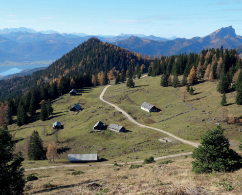 97_Leonsbergalm