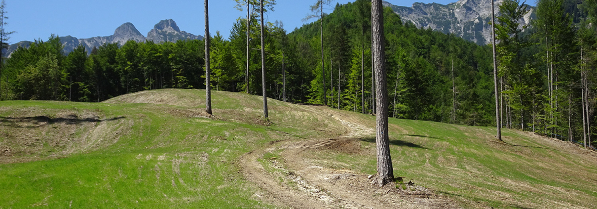 68_Brunntalalm_Neuschaffung-von-Reinweideflaechen