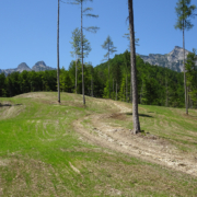 68_Brunntalalm_Neuschaffung-von-Reinweideflaechen