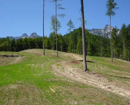 68_Brunntalalm_Neuschaffung-von-Reinweideflaechen