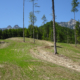 68_Brunntalalm_Neuschaffung-von-Reinweideflaechen