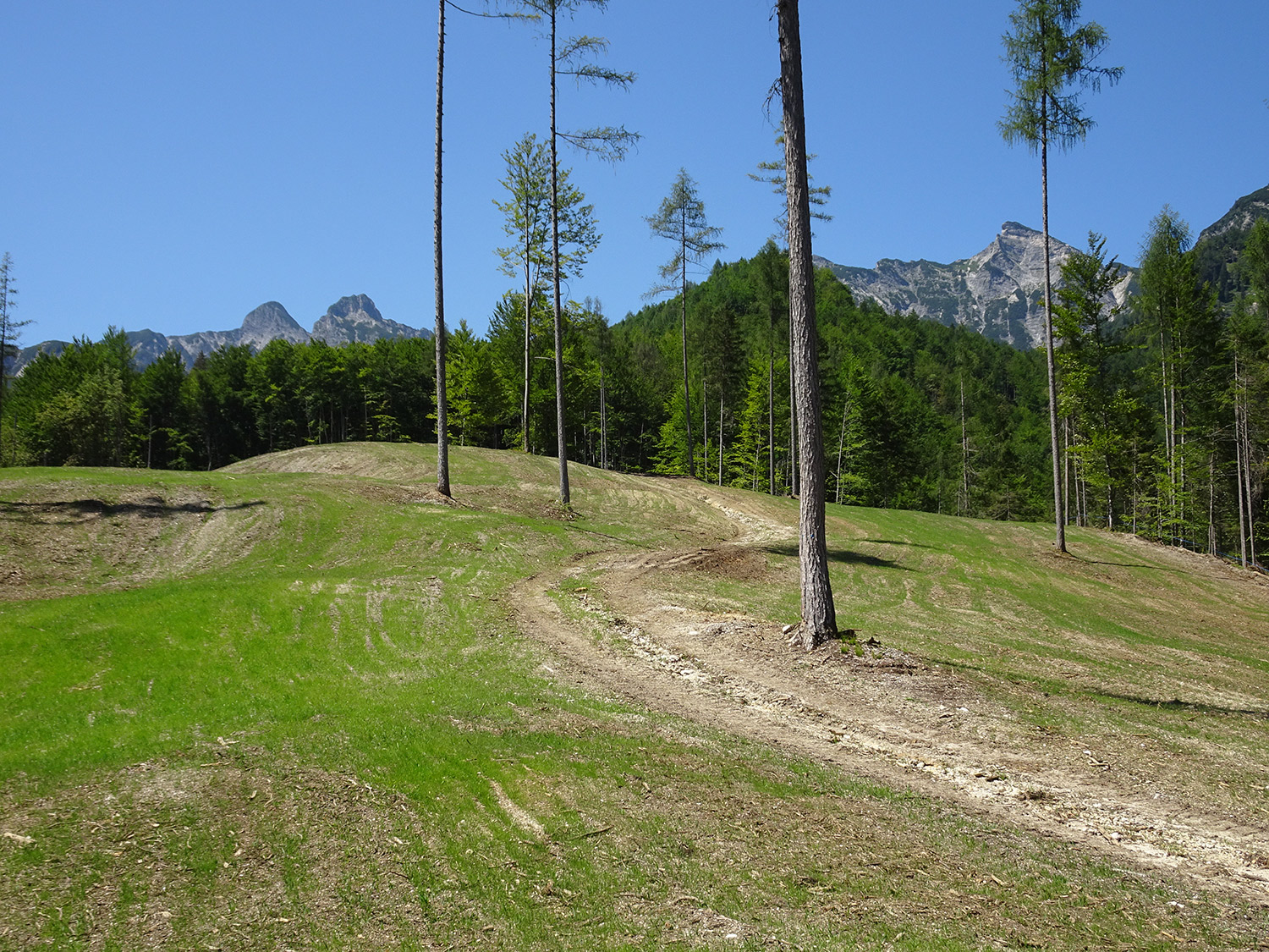 68_Brunntalalm_Neuschaffung-von-Reinweideflaechen