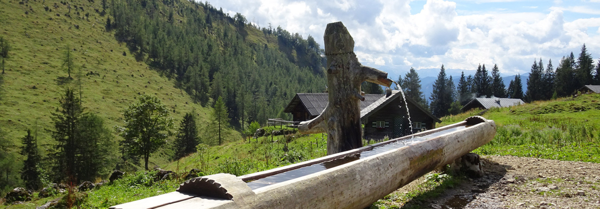 97_Leonsbergalm_Traditionelle-Holzbauweise_Traenketrog-Laerche