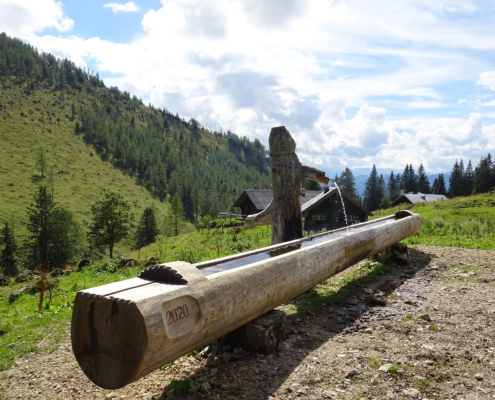 97_Leonsbergalm_Traditionelle-Holzbauweise_Traenketrog-Laerche
