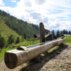 97_Leonsbergalm_Traditionelle-Holzbauweise_Traenketrog-Laerche